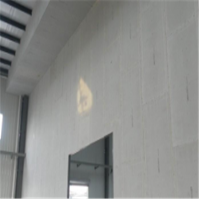 昌邑新型建筑材料掺多种工业废渣的ALC|ACC|FPS模块板材轻质隔墙板
